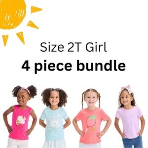 NWT Girls' 4-Piece T-Shirt Bundle - Size 2T